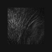 Deft - Blackest