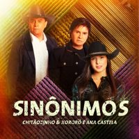 Ana Castela - Sin&ocirc;nimos