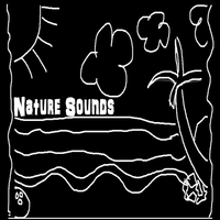 VoltreN - Nature Sounds