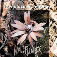 My Sister's Machine - Wallflower
