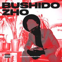 BUSHIDO ZHO - К СОЖАЛЕНИЮ ЭТО ТРАП