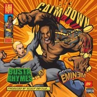 Busta Rhymes - Calm Down