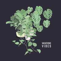 VACATIONS - Vibes