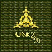 Josh Wink - 20 to 20