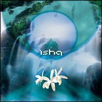 Ishq - Orchid