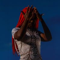 AUNTY RAYZOR - Viral Wreckage