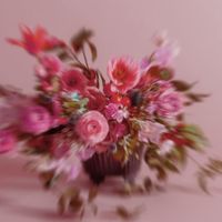 nand - Ich hab Blumen
