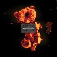 Stick Men Albums, Songs - Discography - Album of The Year