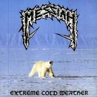 Messiah - Extreme Cold Weather