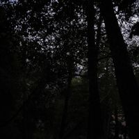 untiljapan - Tears in My Eyes