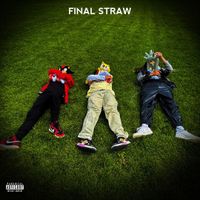 onlinemonkey - FINAL STRAW