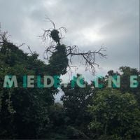 Medicine - Silences