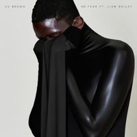 V.V. Brown - No Fear (feat. Liam Bailey)