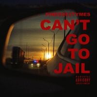 Finesse2tymes - Can't Go To Jail