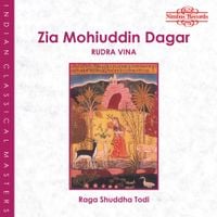 Zia Mohiuddin Dagar - Raga Shuddha Todi