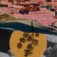 Chaz Knapp - Microfolk