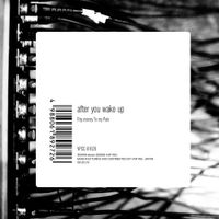 Pay Money To My Pain - after you wake up