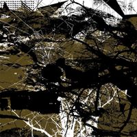 AUN - Blackhorse