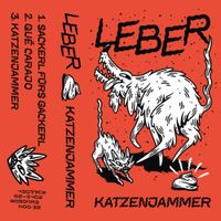 Leber - Katzenjammer