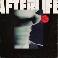 Last Dinosaurs - Afterlife