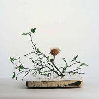 Mark Barrott - Music For Presence