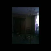 The Wardrobe - Cups in Cupboard