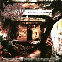 Down From The Wound - Agony Through Rituals Of Self Purification