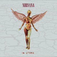 Nirvana - In Utero [30th Anniversary Super Deluxe]