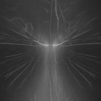 Imperceptum - Entering the Domains of Complete Nonexistence