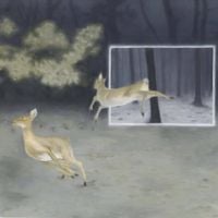 Dutch Interior - Blinded By Fame