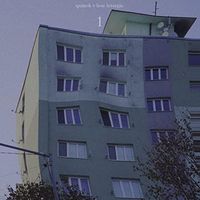 Sp&aacute;nok V Lese Letargie - volume 1