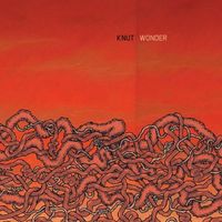 Knut - Wonder
