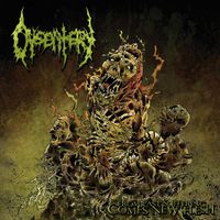 Dysentery - From Past Suffering Comes New Flesh