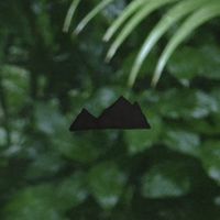 Chet Porter - Hawaii/Norway