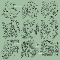 Gonubie - Signals at Both Ears