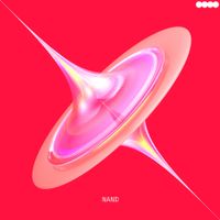 nand - wie es ist