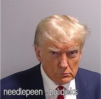 Needlepeen - Polidicks