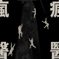 疯医（The Fallacy） - 瘋醫