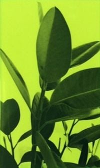 Xiu Xiu - House Plant Music