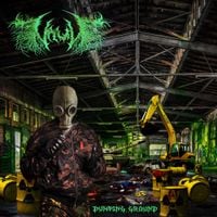 Vault - Dumping Ground