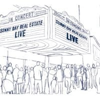 Sunny Day Real Estate - Live