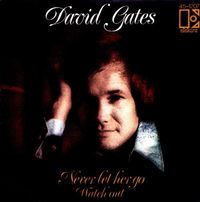 David Gates - Never Let Her Go