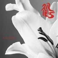 Echo Ladies - Lilies