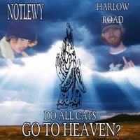 Harlow Road - do all cats go to heaven?