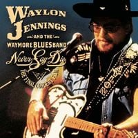 Waylon Jennings - Never Say Die: The Final Concert