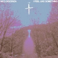 Nico Discenza - I Feel Like Something