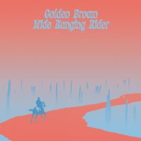 Golden Brown - Wide Ranging Rider