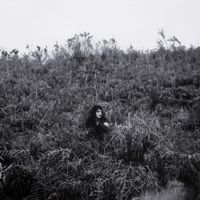Elaine Malone - Pyrrhic
