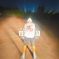 Ashhh - CAR BREAKR