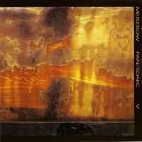 Merzbow & Pan Sonic - V